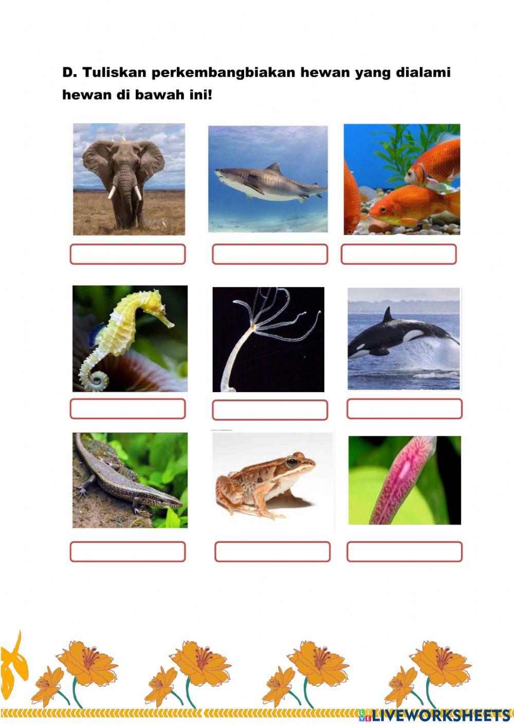 Perkembangbiakan Tumbuhan dan Hewan