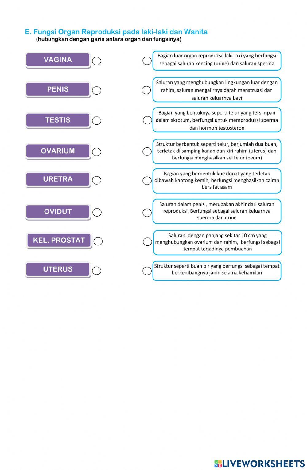 LKPD Reproduksi manusia