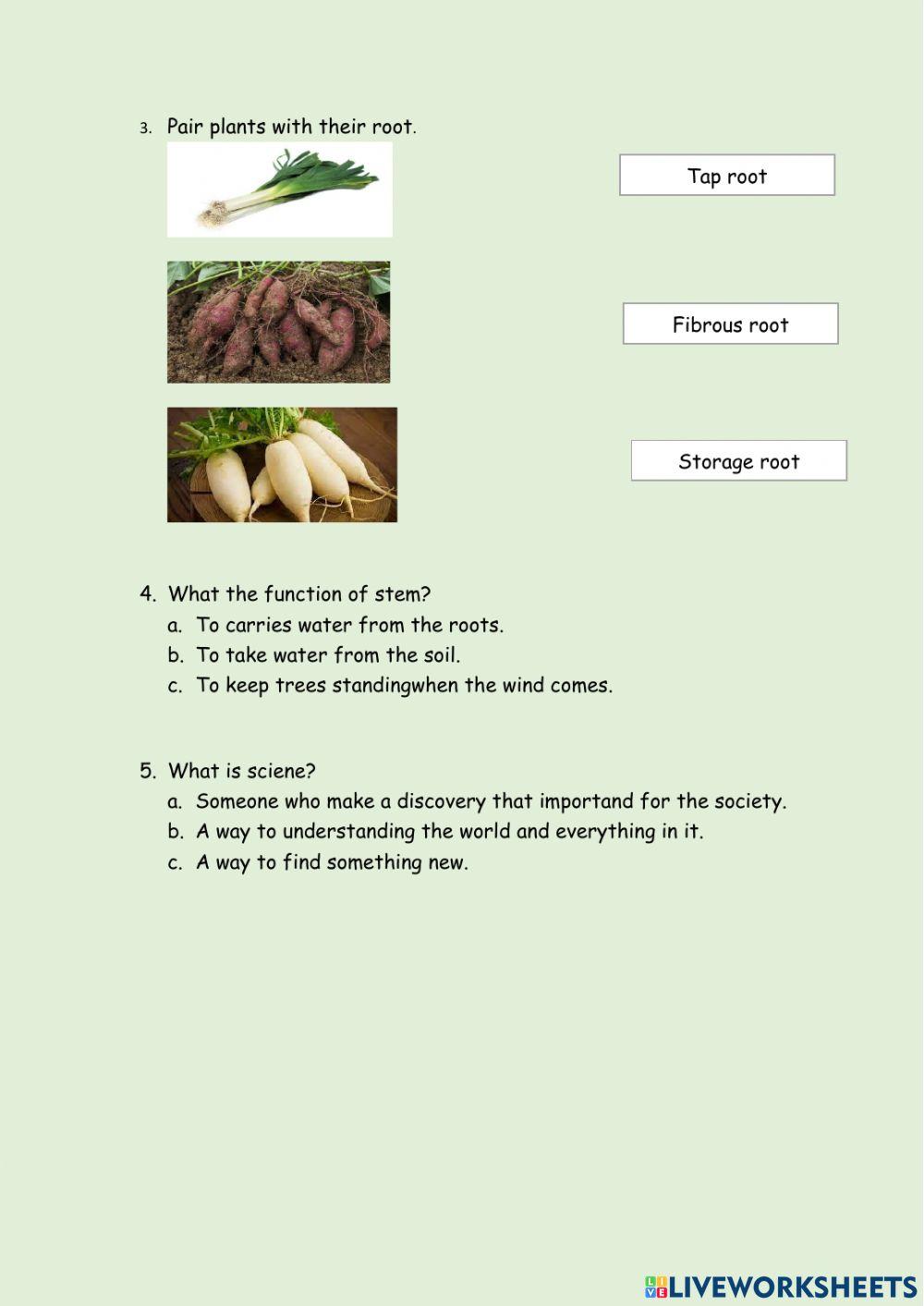 Root and stem (parts of plant)