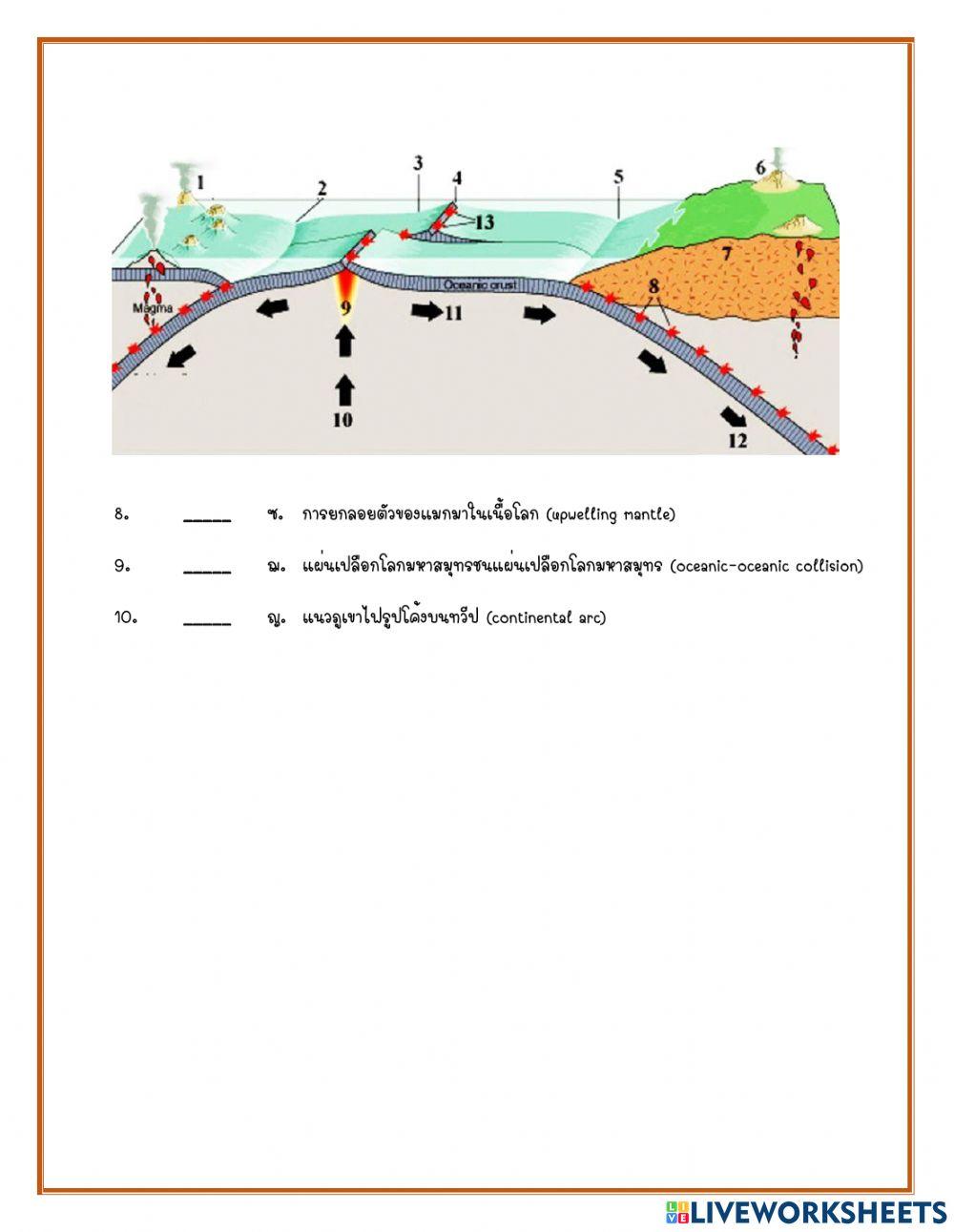 การแปรสัณฐาน