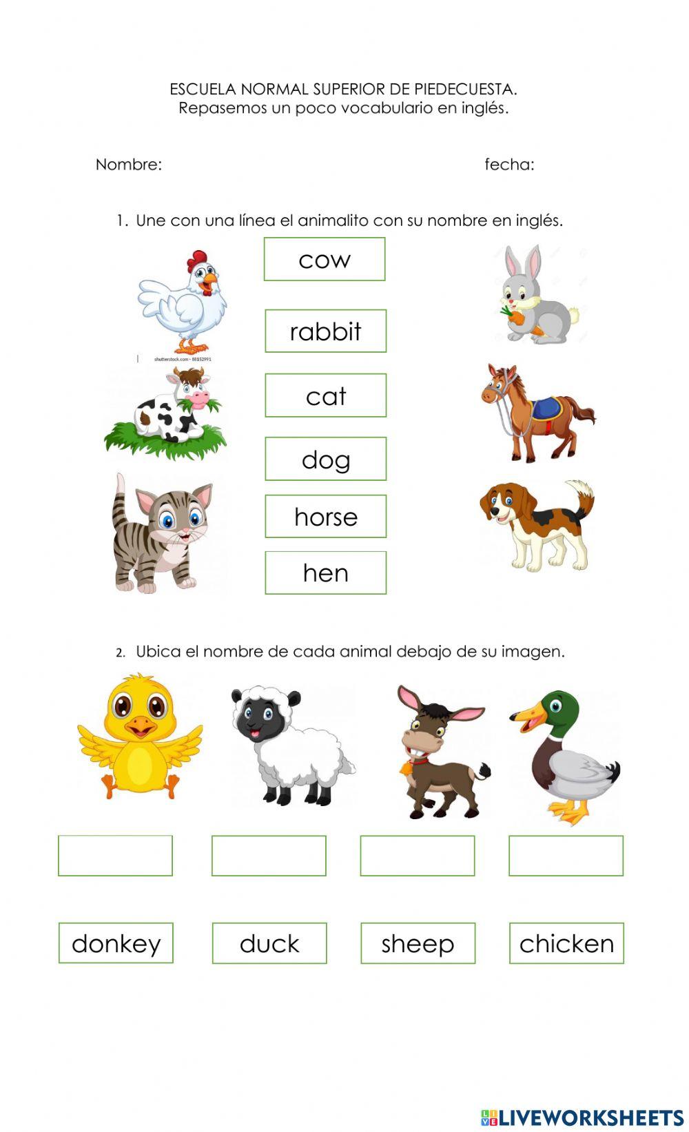 Repasemos vocabulario en inglés