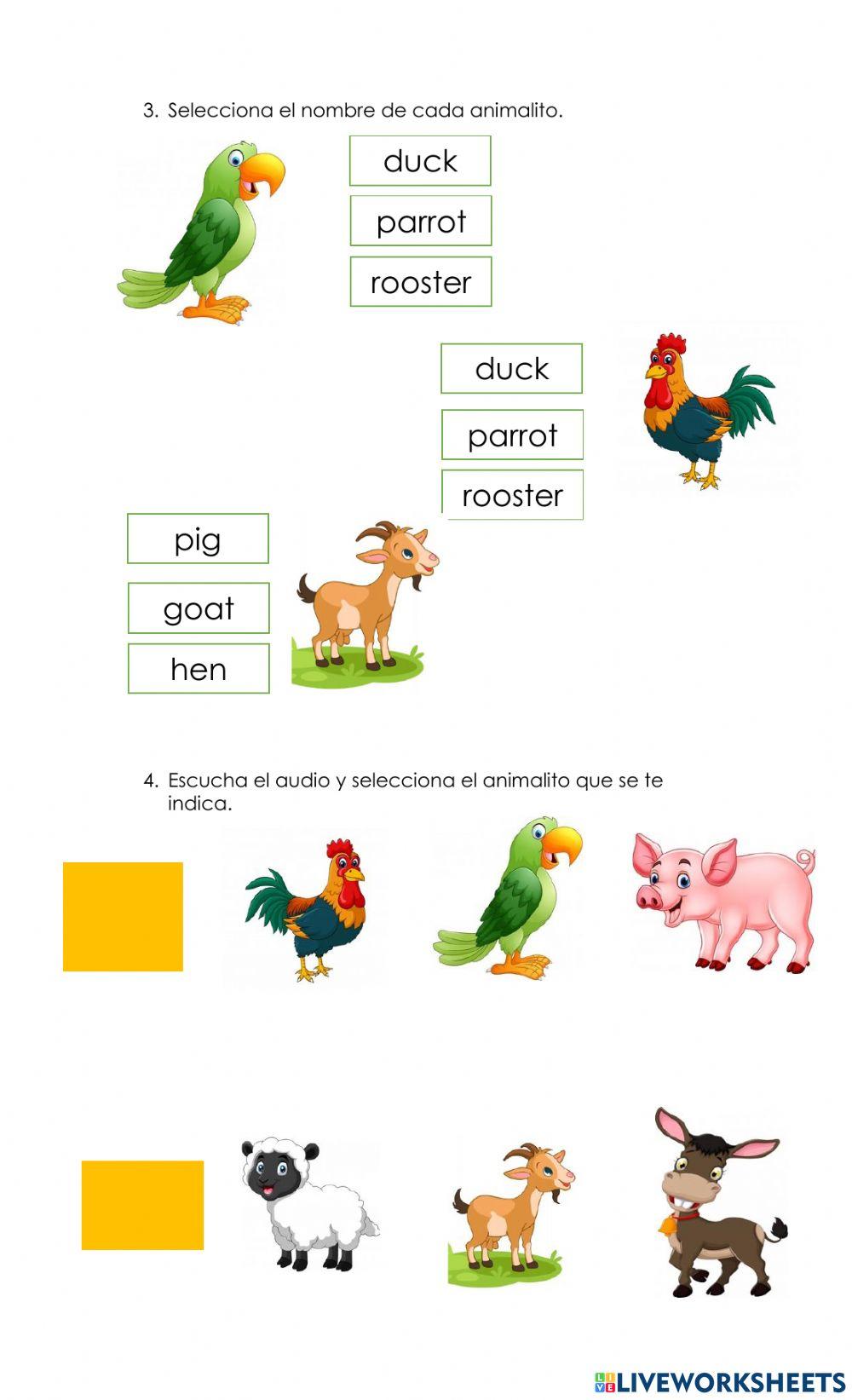 Repasemos vocabulario en inglés