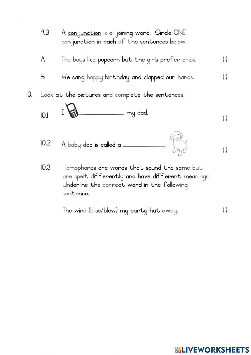 English paper 1 Middle exam