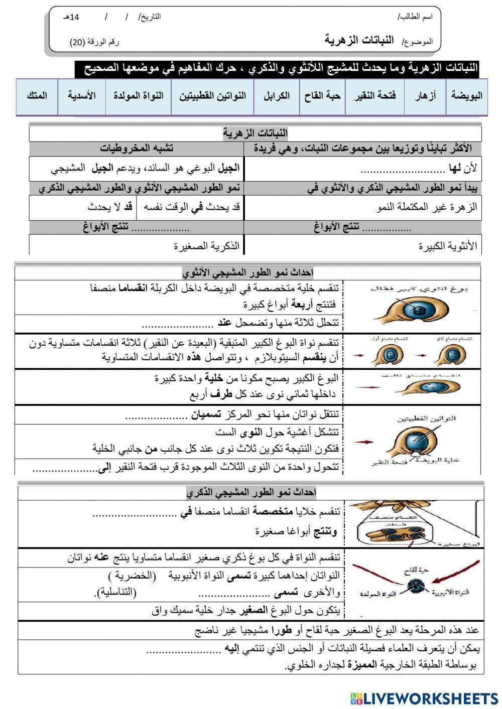 ورقة 20تفاعلية3