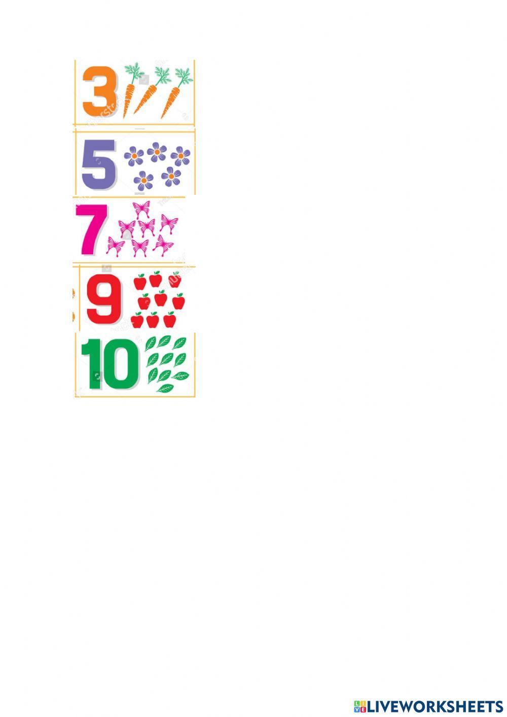 Trabajo practico primer ciclo