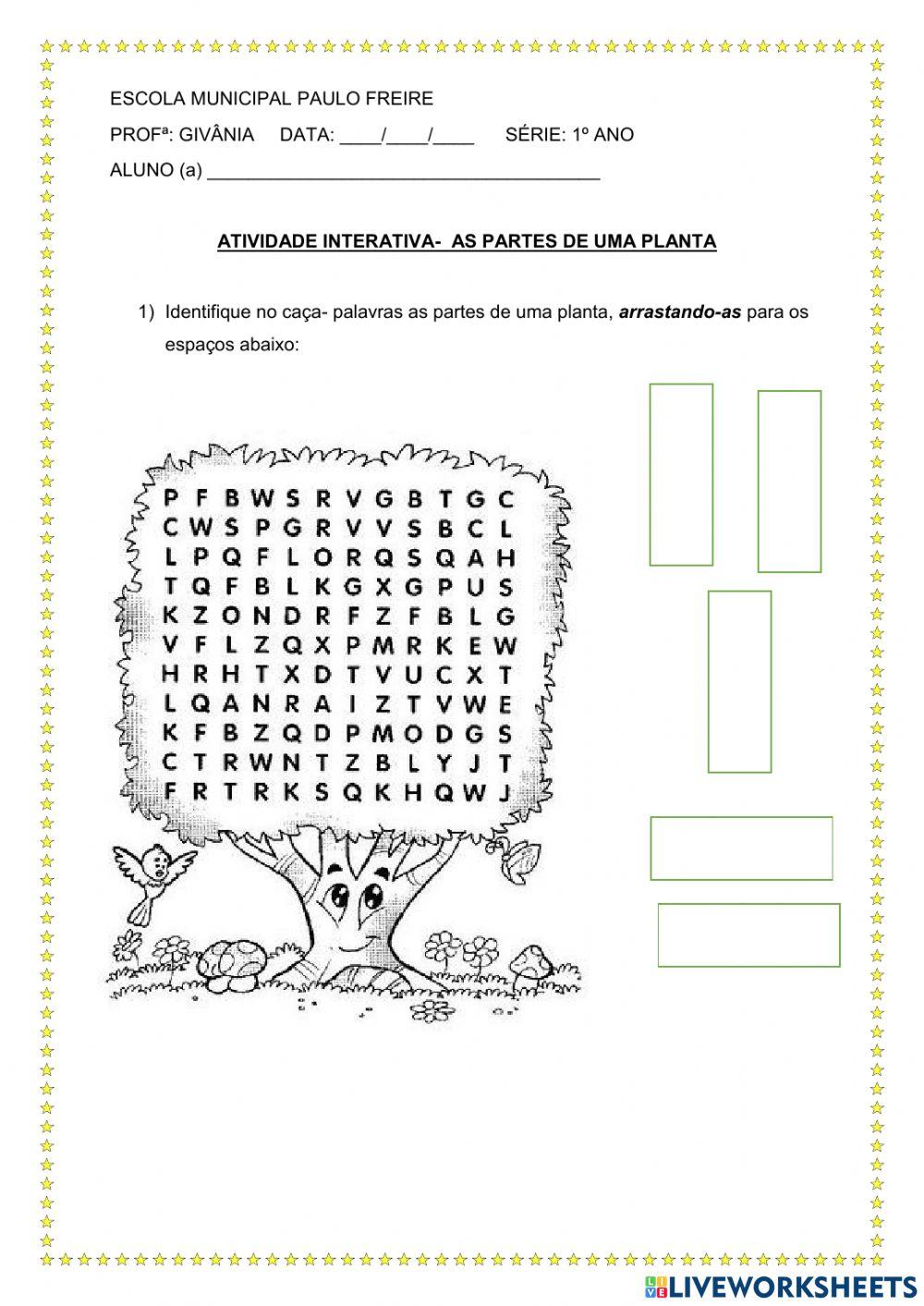 Atividade interativa- 2 ano  As Partes da planta