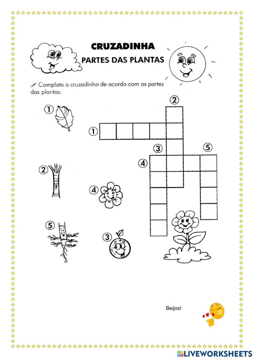 Atividade interativa- 2 ano  As Partes da planta