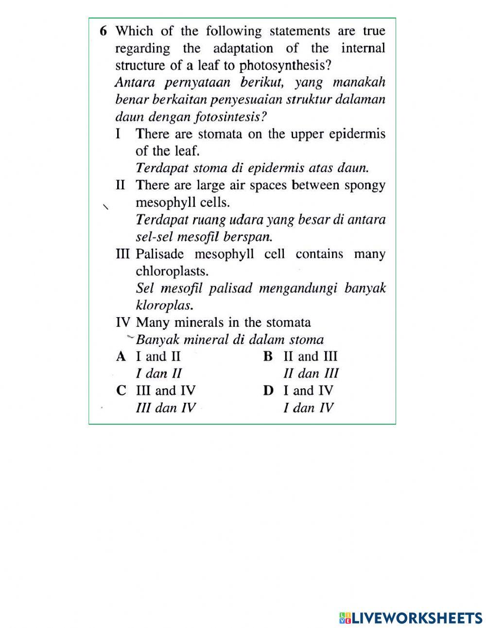 Daun dan Struktur Daun