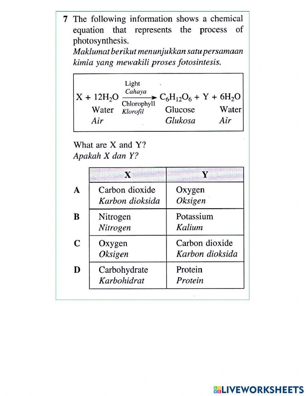 Daun dan Struktur Daun