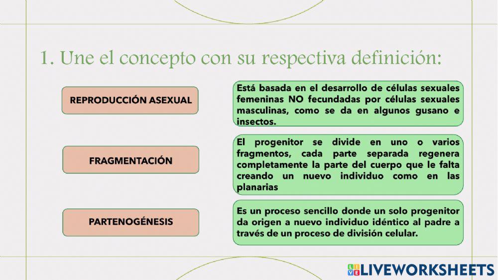 Tipos de reproducción