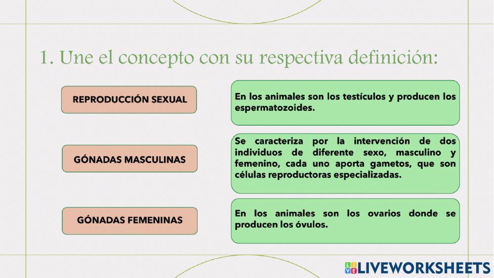 Tipos de reproducción