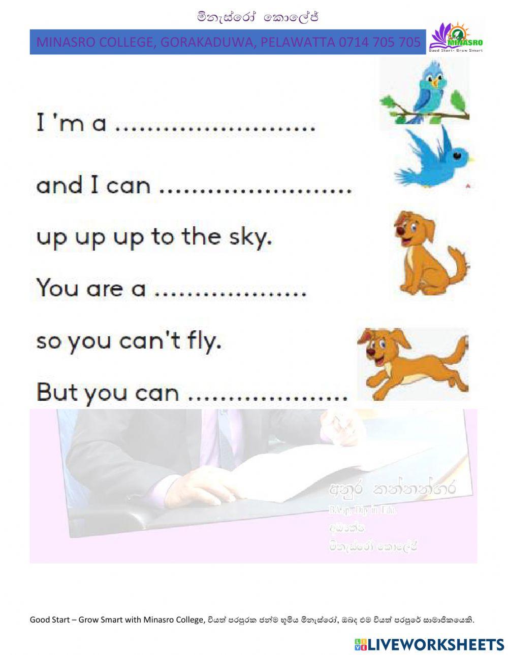 Minasro college - english for primary classes