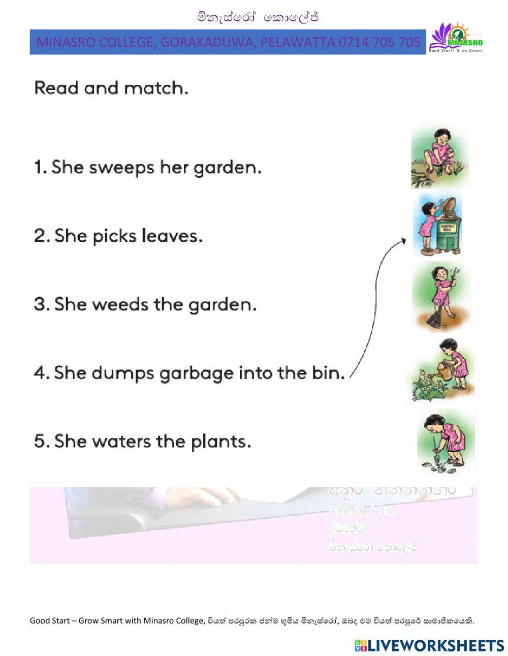 Minasro college - english for primary classes