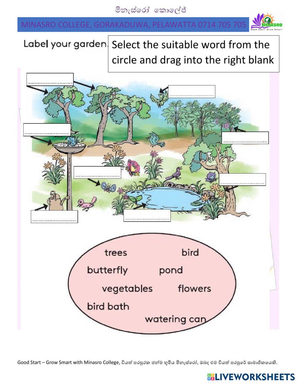 Minasro college - english for primary classes