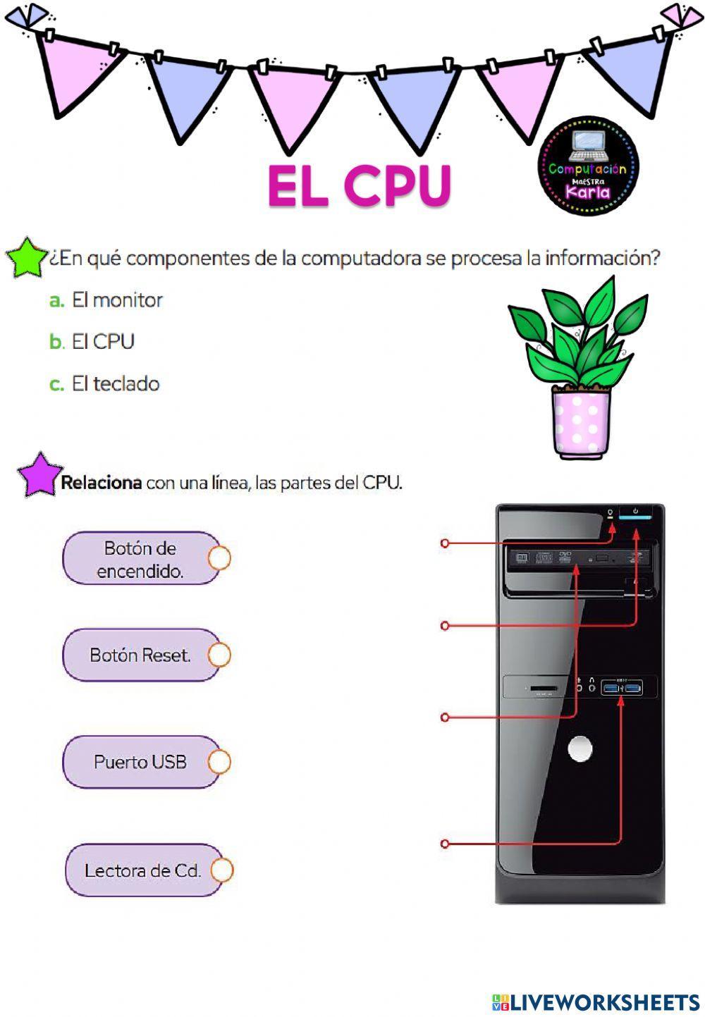 El cpu El cpu