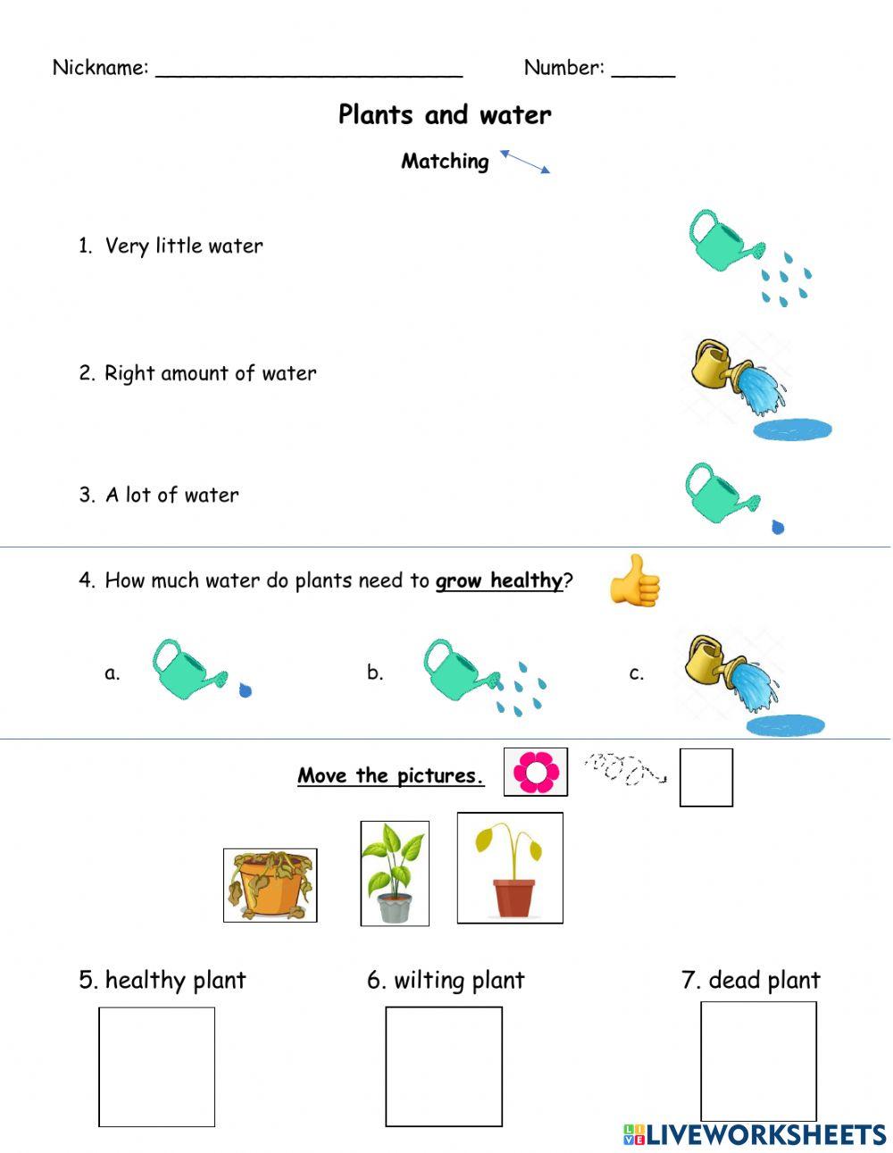 1140029 Plants and water teacherchelsea