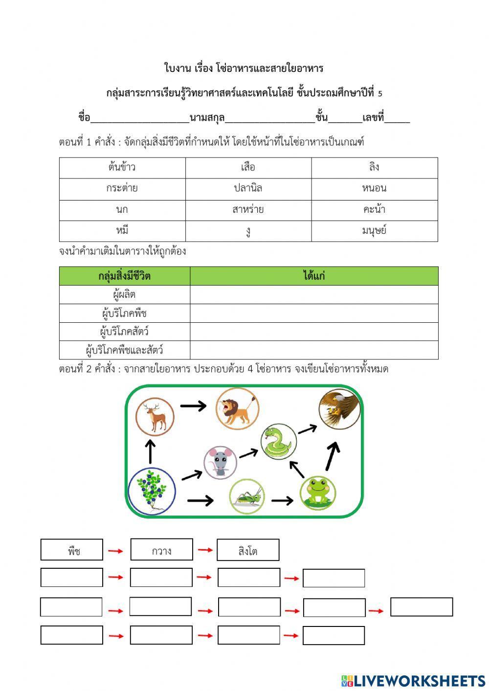 ใบงานโซ่อาหารและสายใยอาหาร