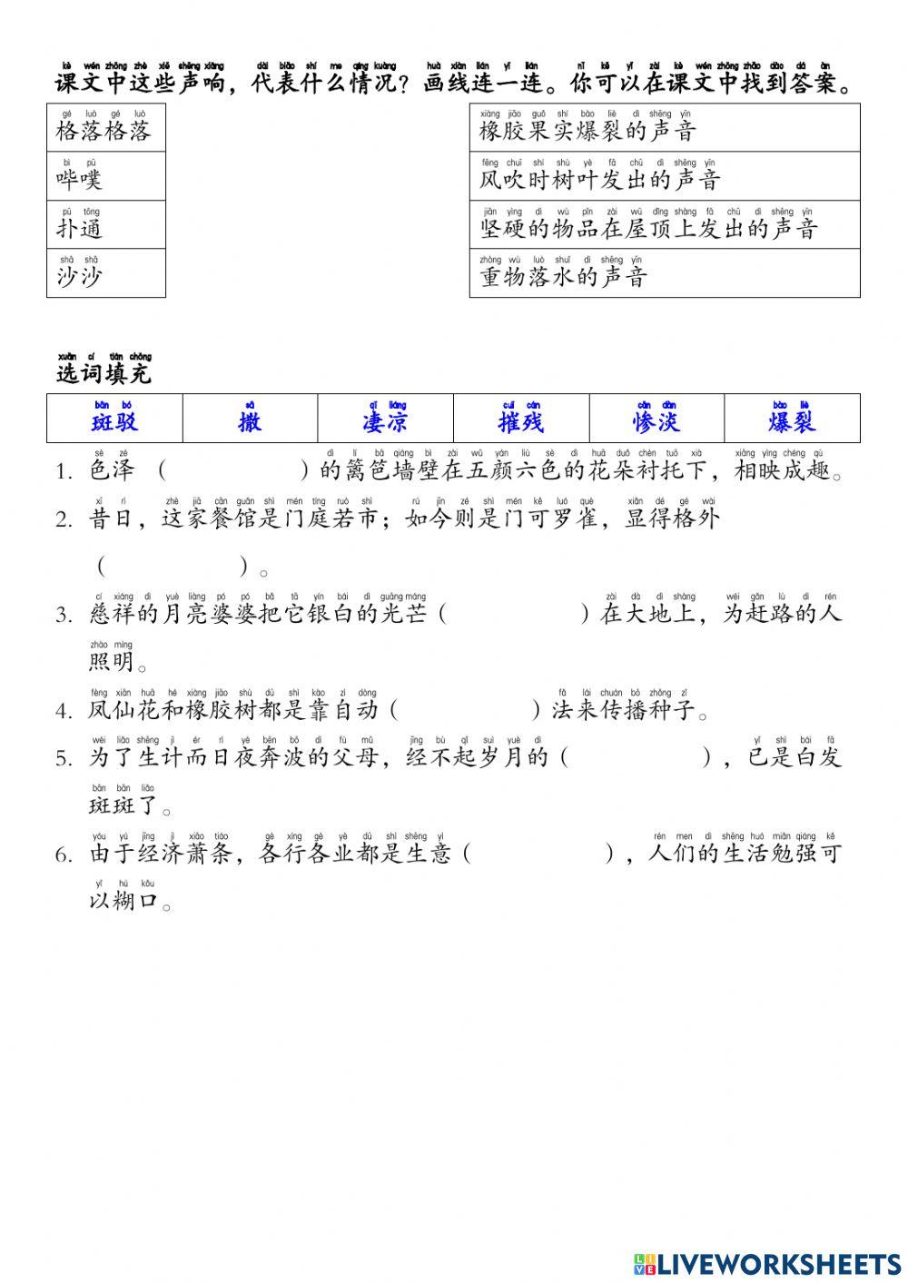 橡胶果实爆裂的季节