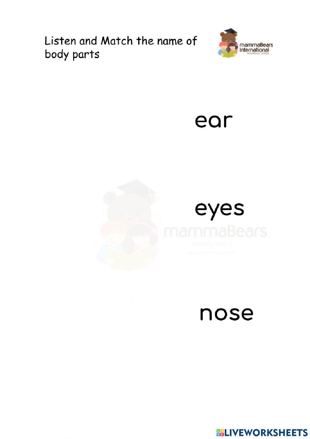 Practice Names of Body Parts 1