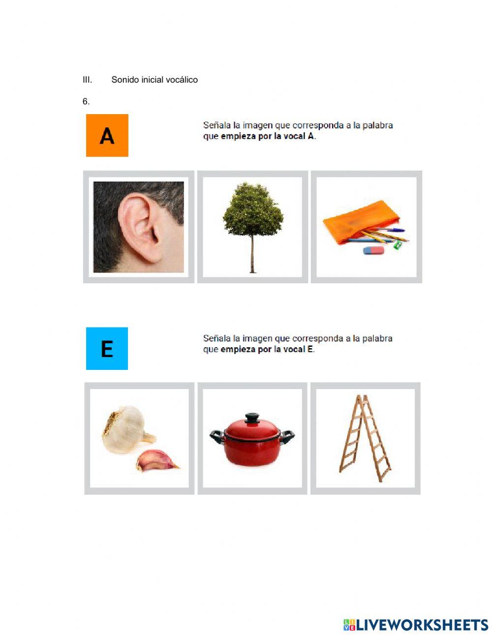 Evaluación de lenguaje