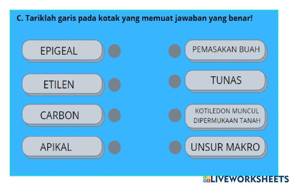 PERTUMBUHAN DAN PERKEMBANGAN