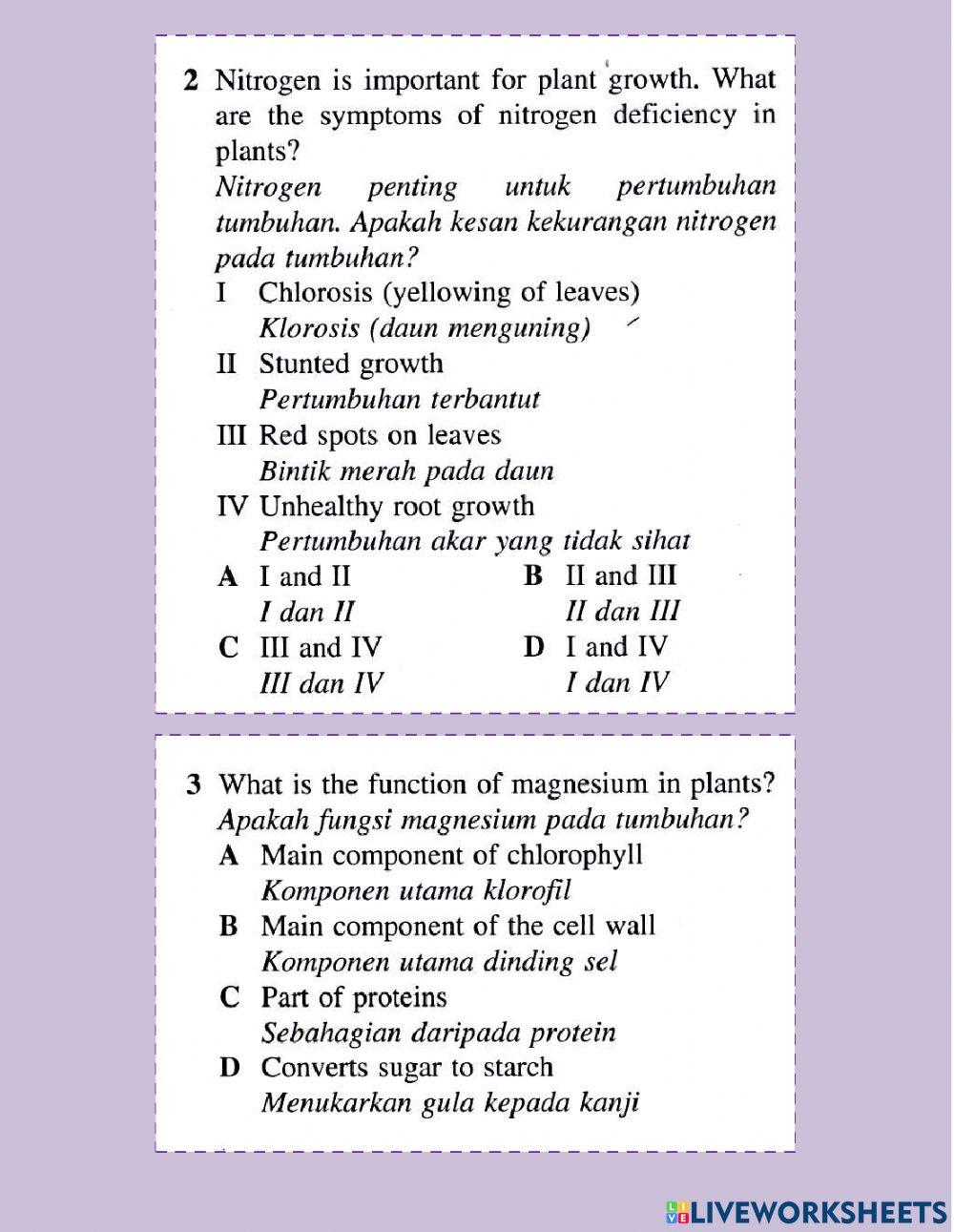 Nutrisi dalam tumbuhan