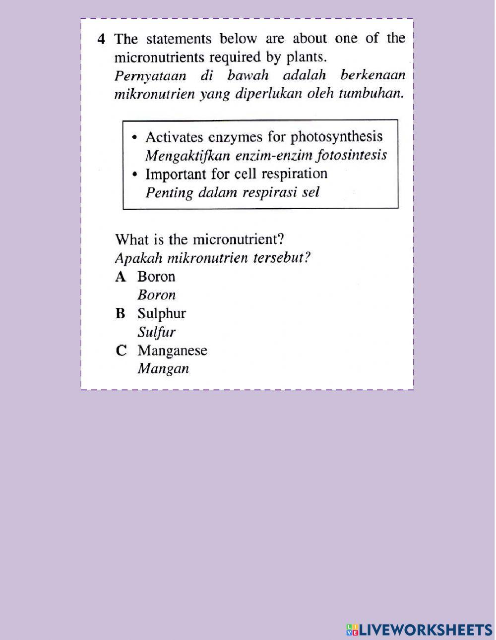 Nutrisi dalam tumbuhan