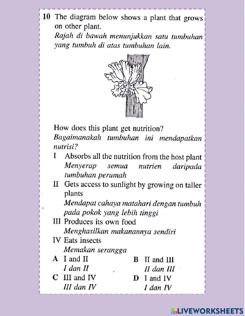 Nutrisi dalam tumbuhan