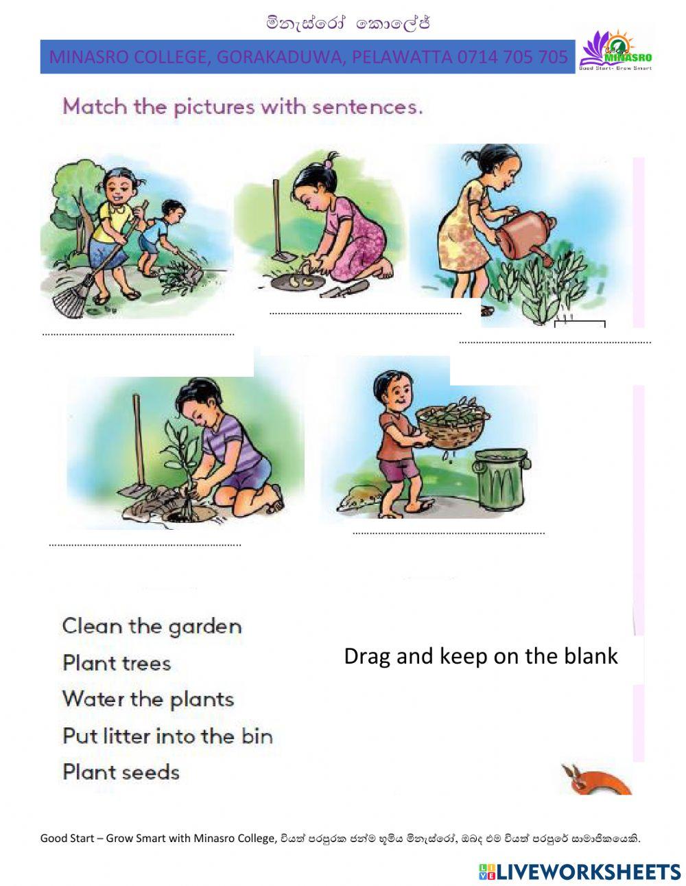 Minasro College - English for primary classes