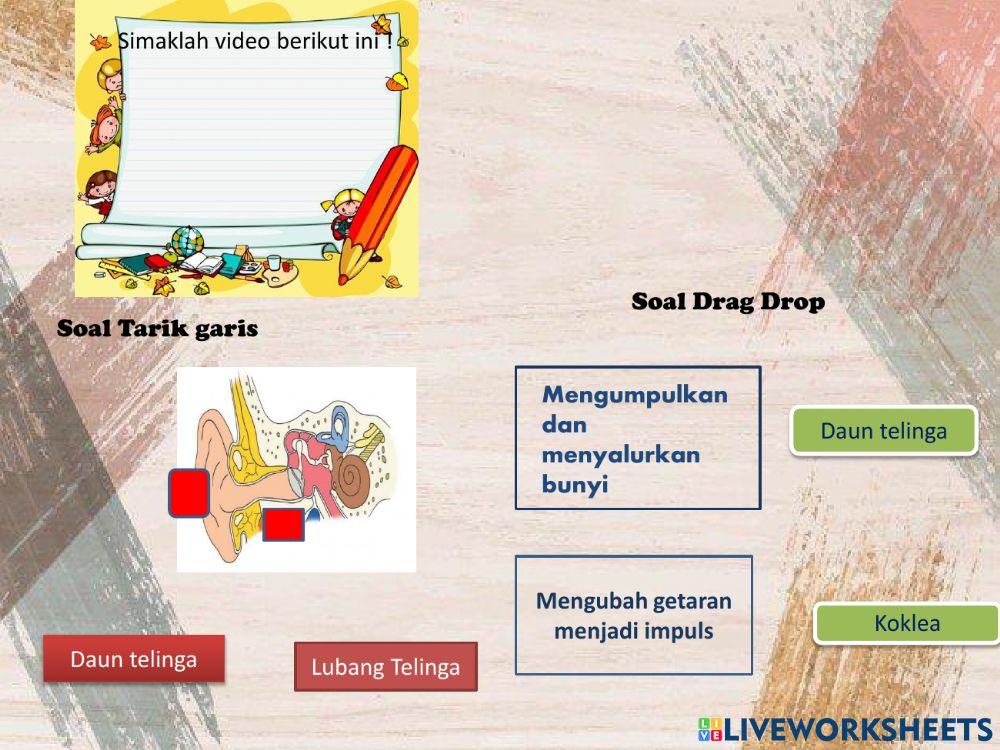 Rumah adat dan pecahan senilai,Indra pendengaran
