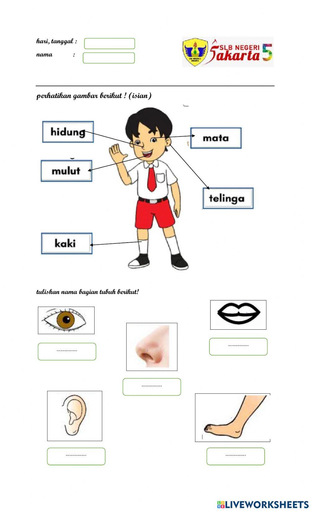 Mengenal anggota tubuh dan bilangan 1 - 5