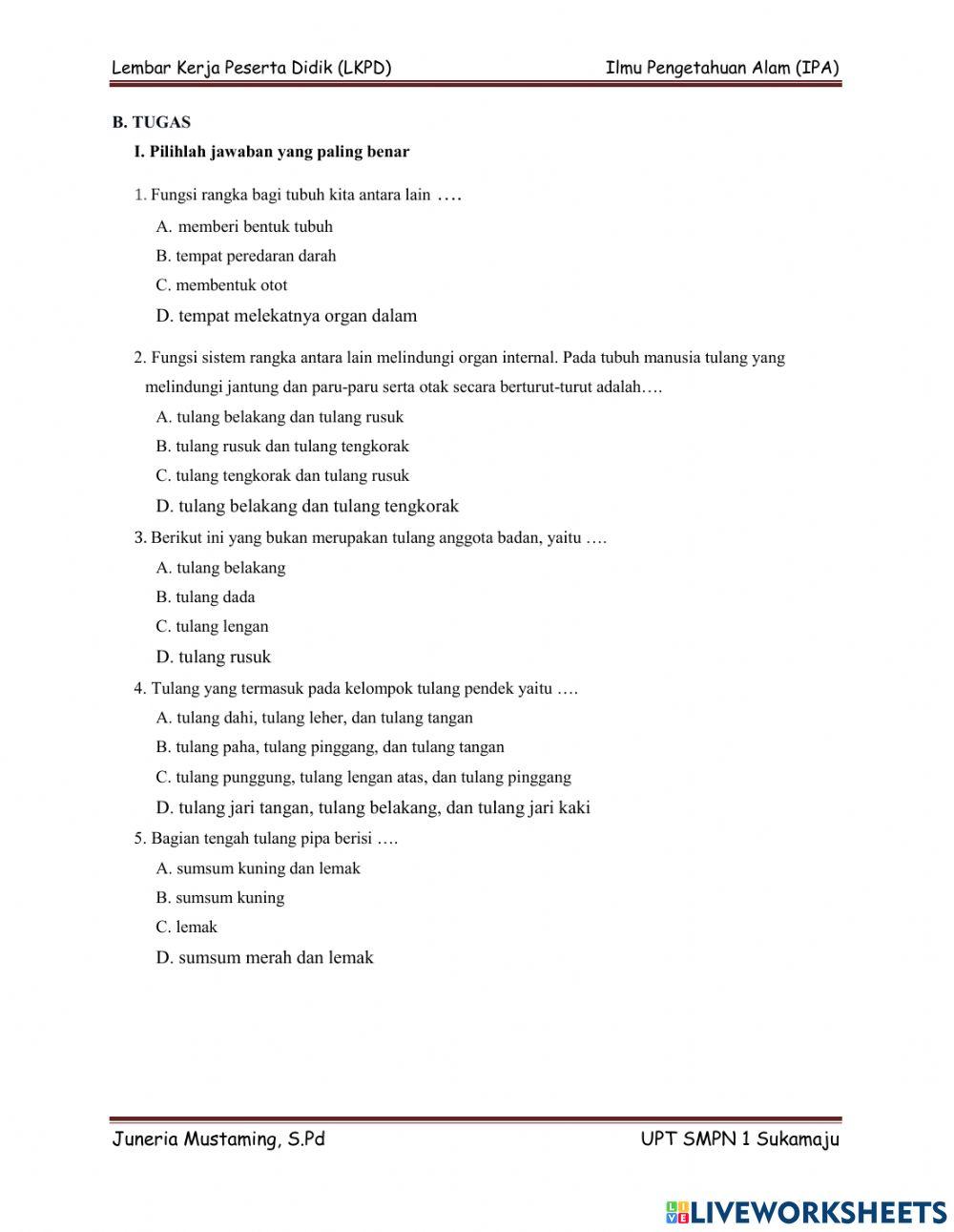 LKPD Sistem Gerak Pada Manusia