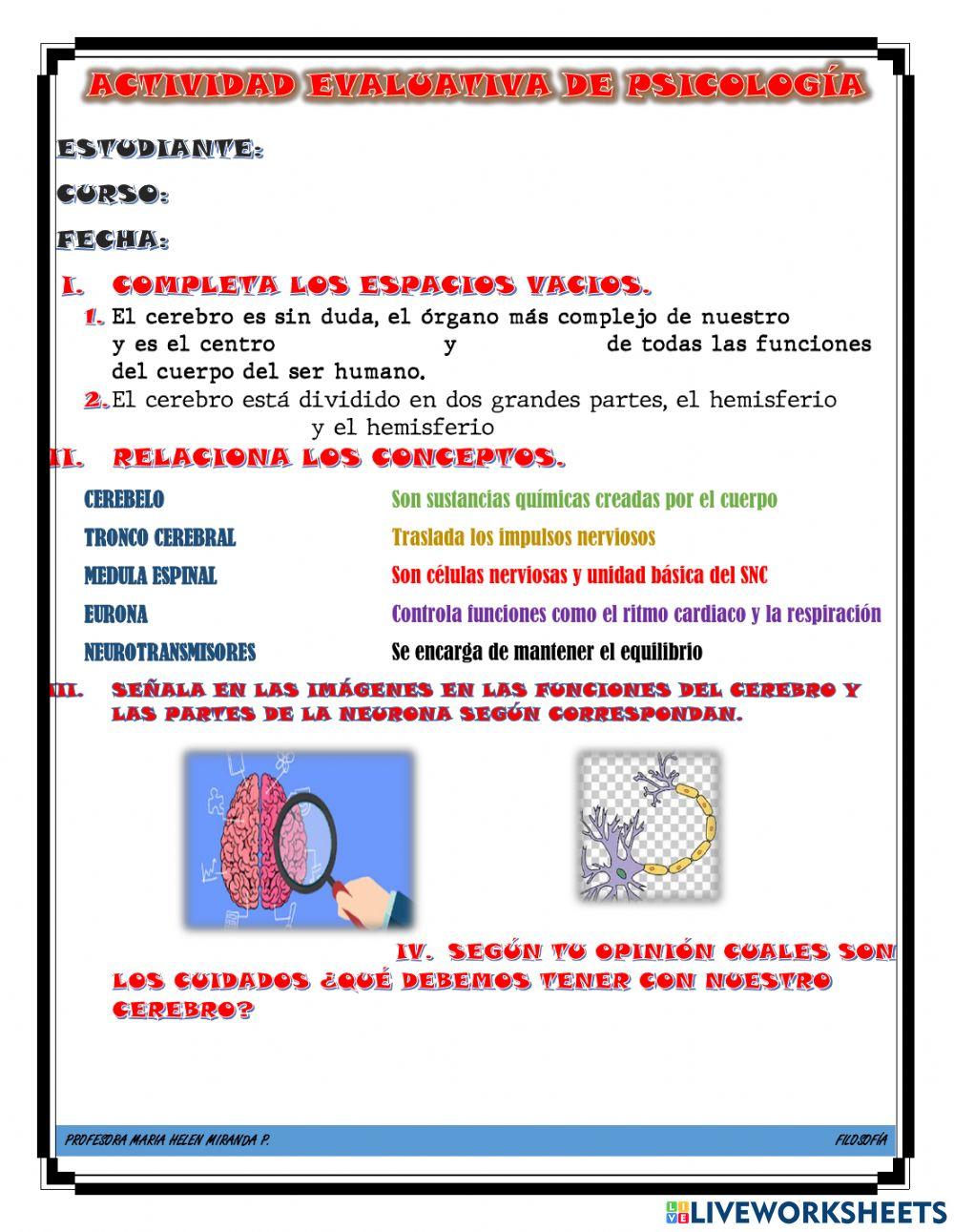 Bases biológicas que nos permiten soñar y sentir