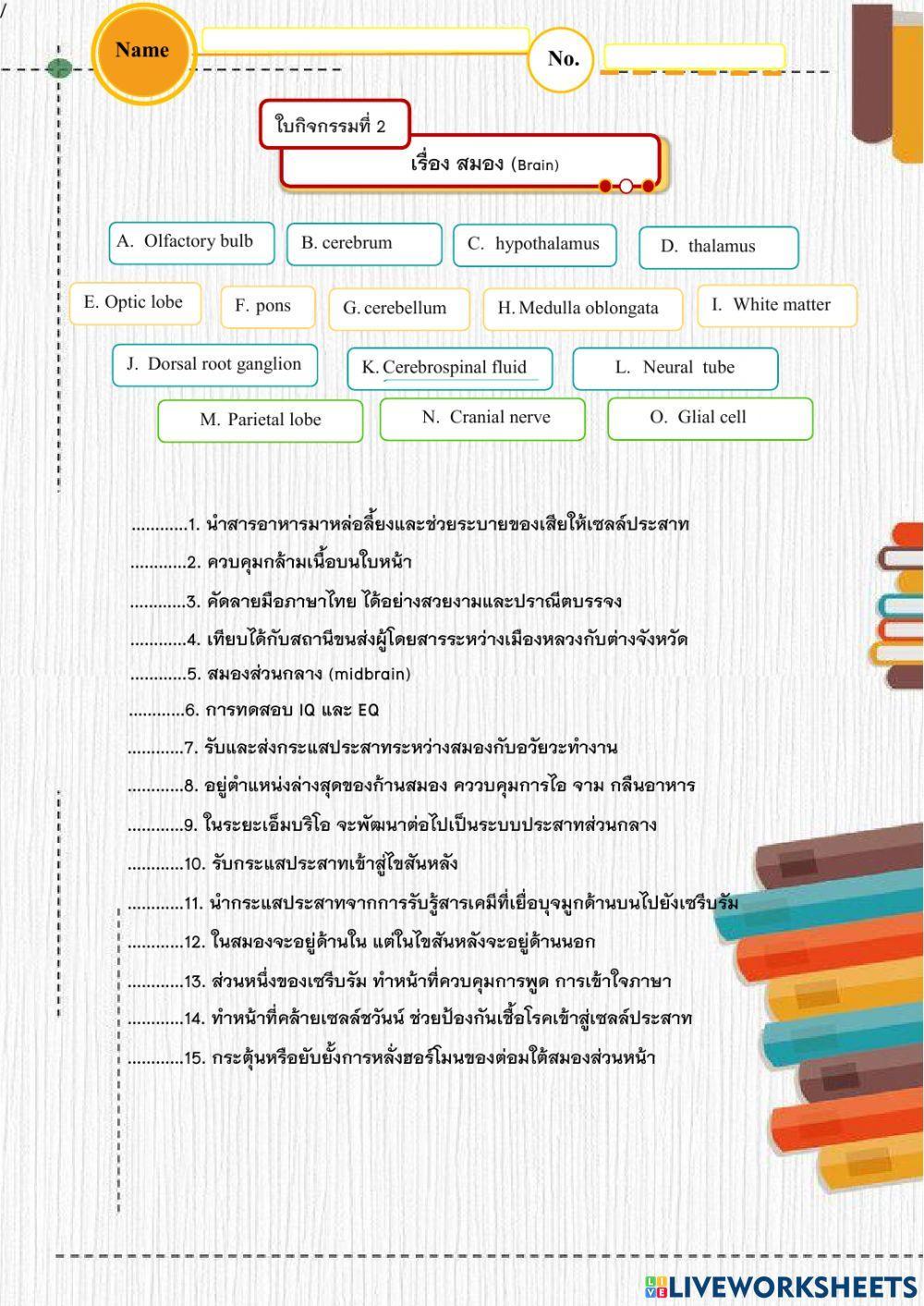 การรับรู้และการตอบสนอง