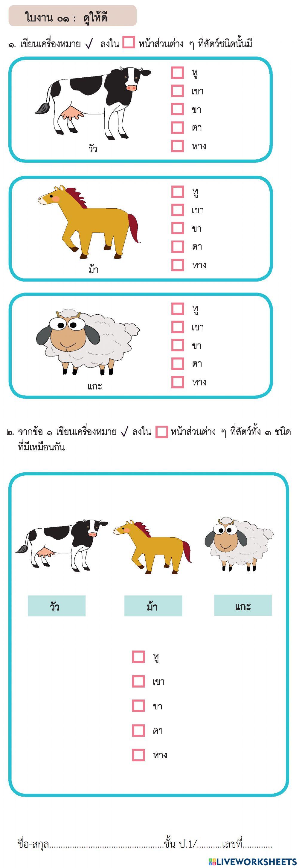 ป.1 วิทยาการคำนวณ ใบงาน 1