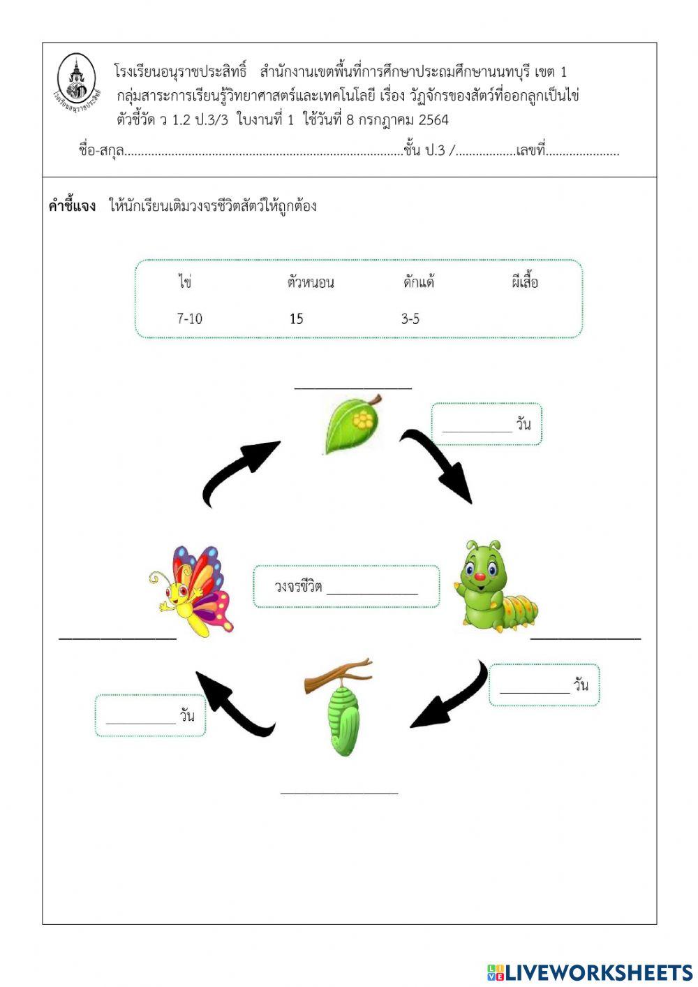 วัฏจักรชีวิตของสัตว์