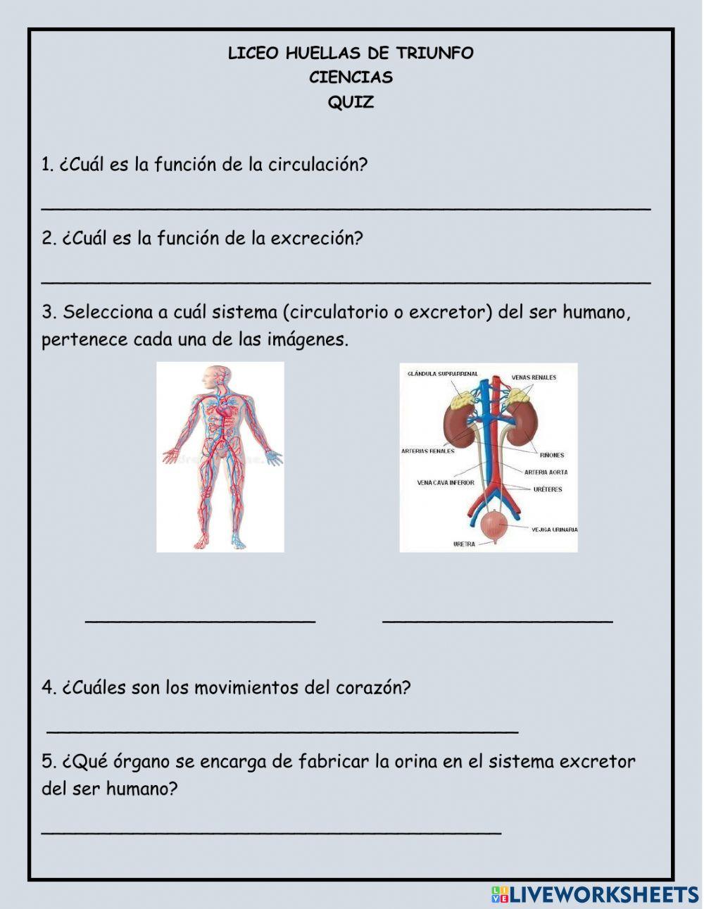 Quiz Ciencias