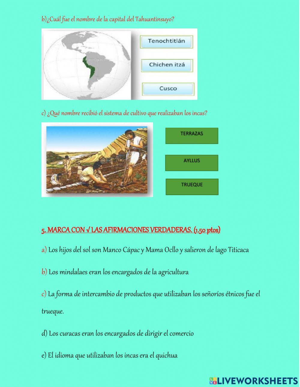 Lección de SOCIALES