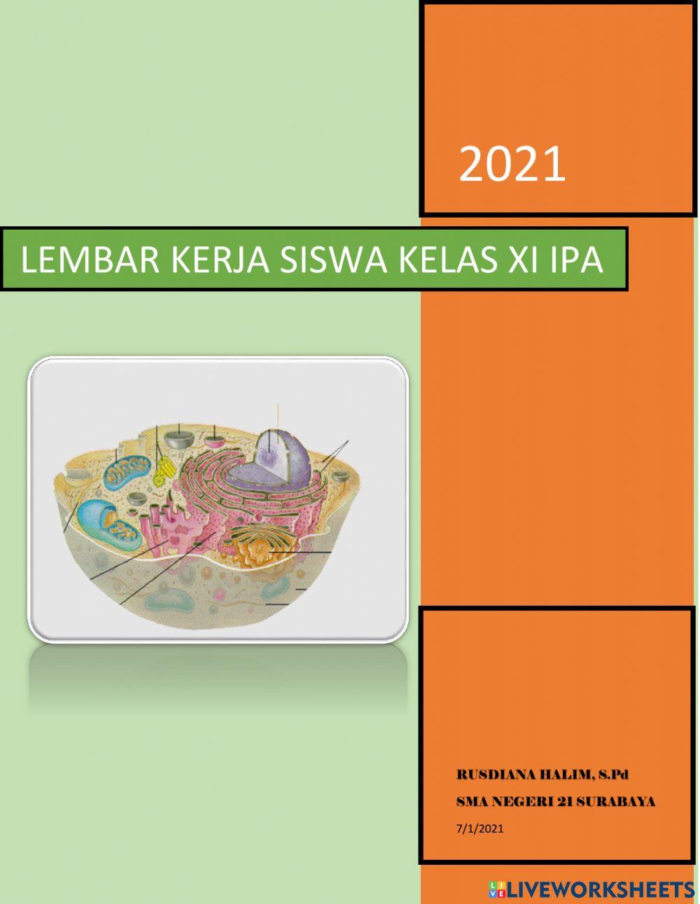 LKS Struktur dan Fungsi Sel