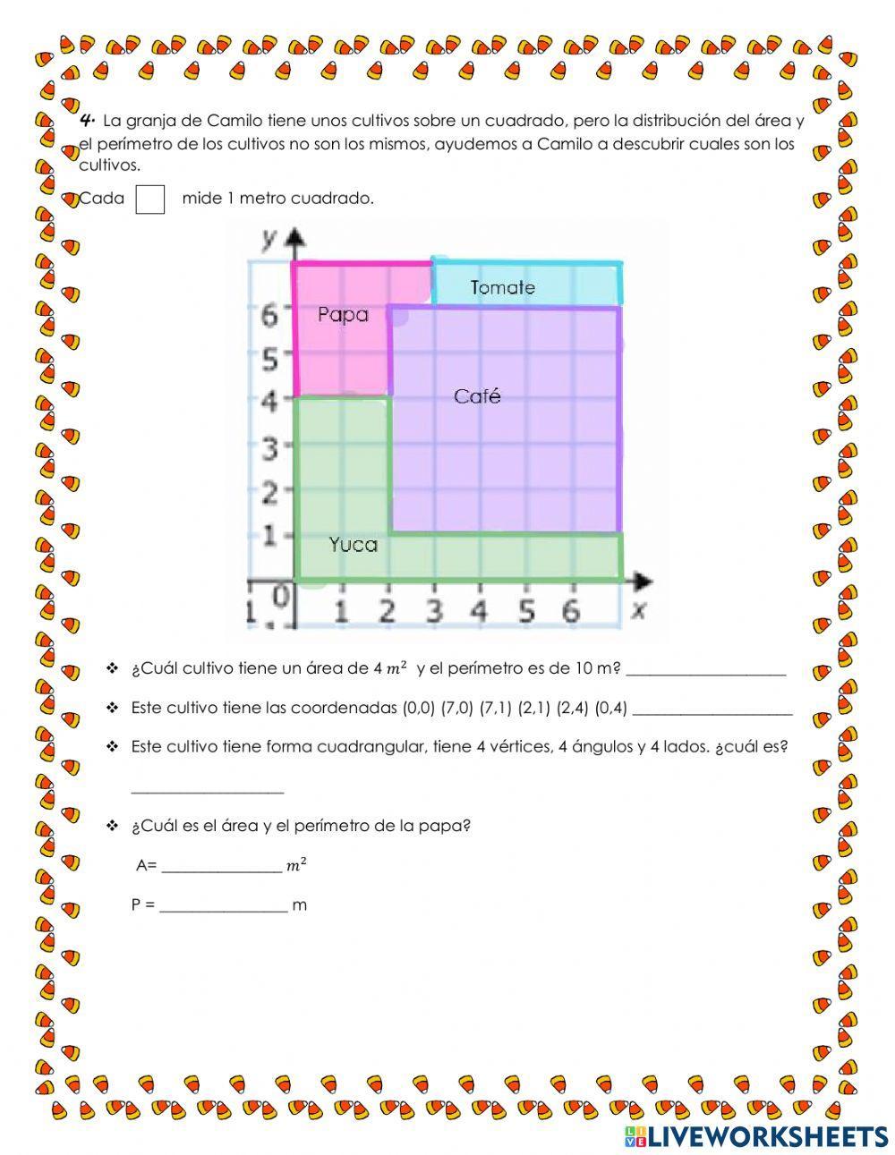 Actividad del perímetro y área