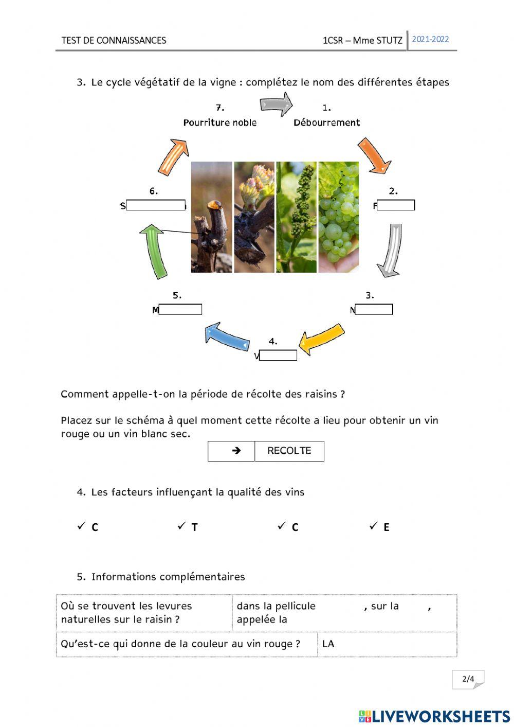 Vigne, Raisin et Vinification