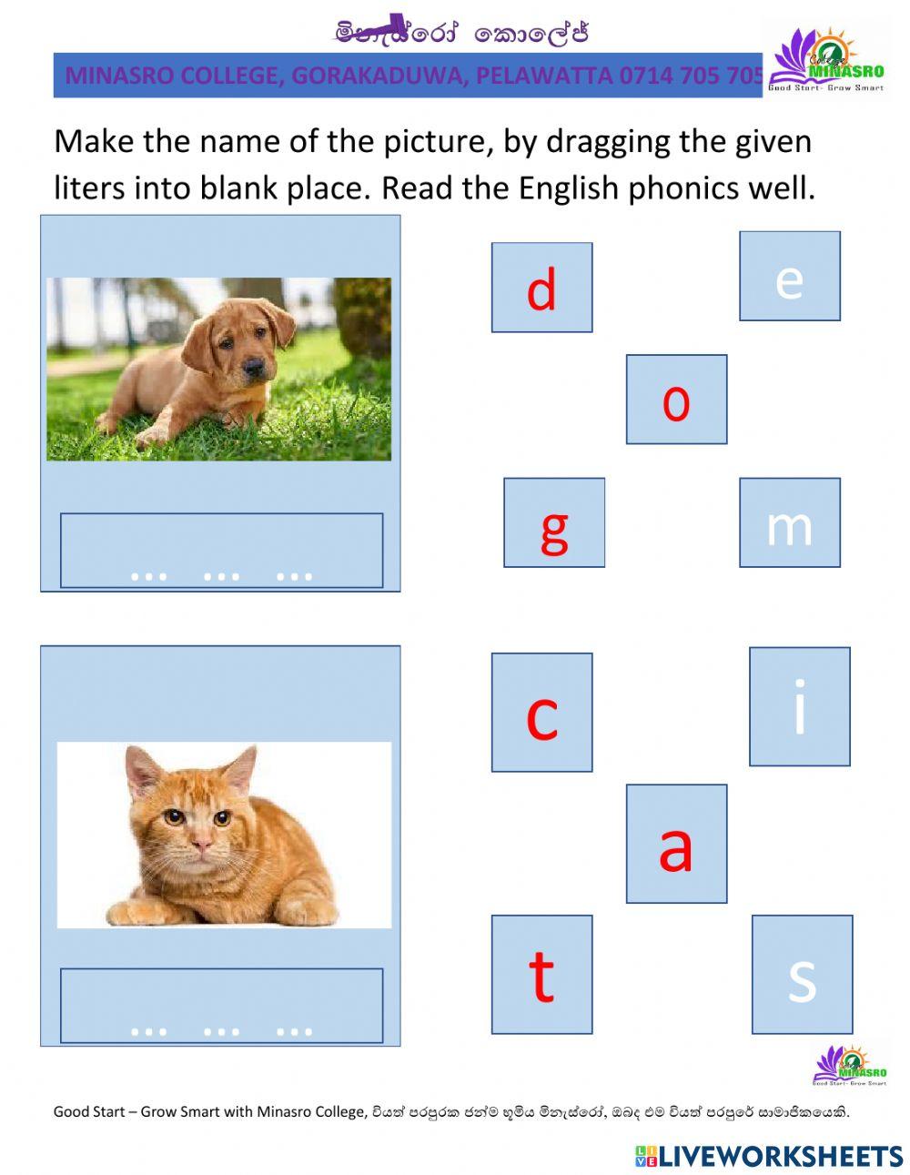 Minasro preschool English