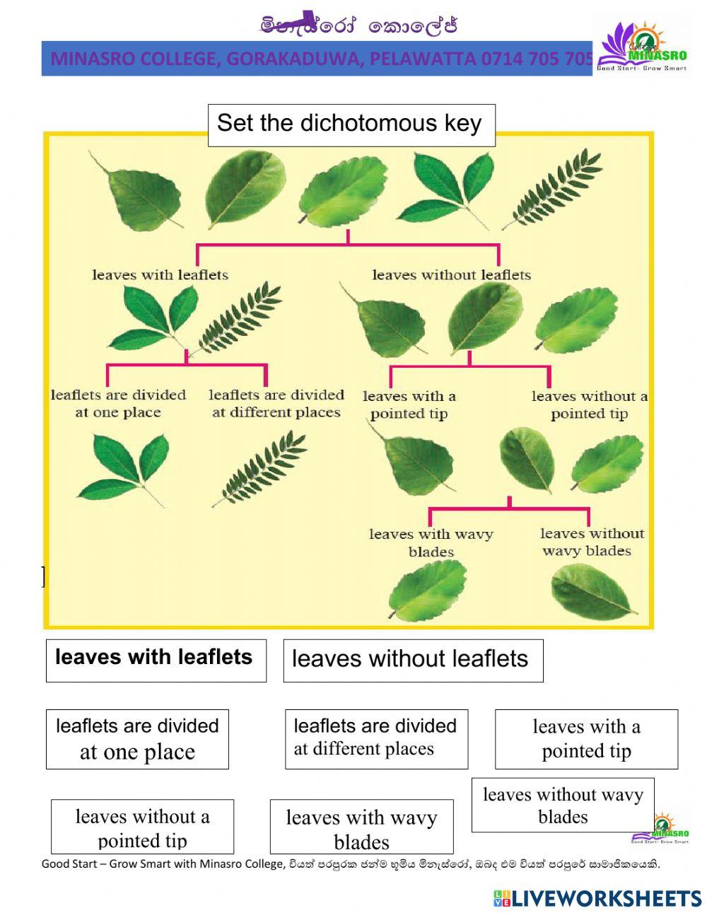Minasro College - science