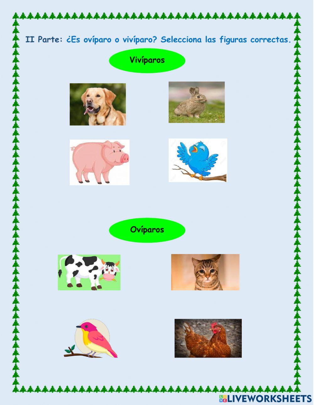 La reproducción de los animales