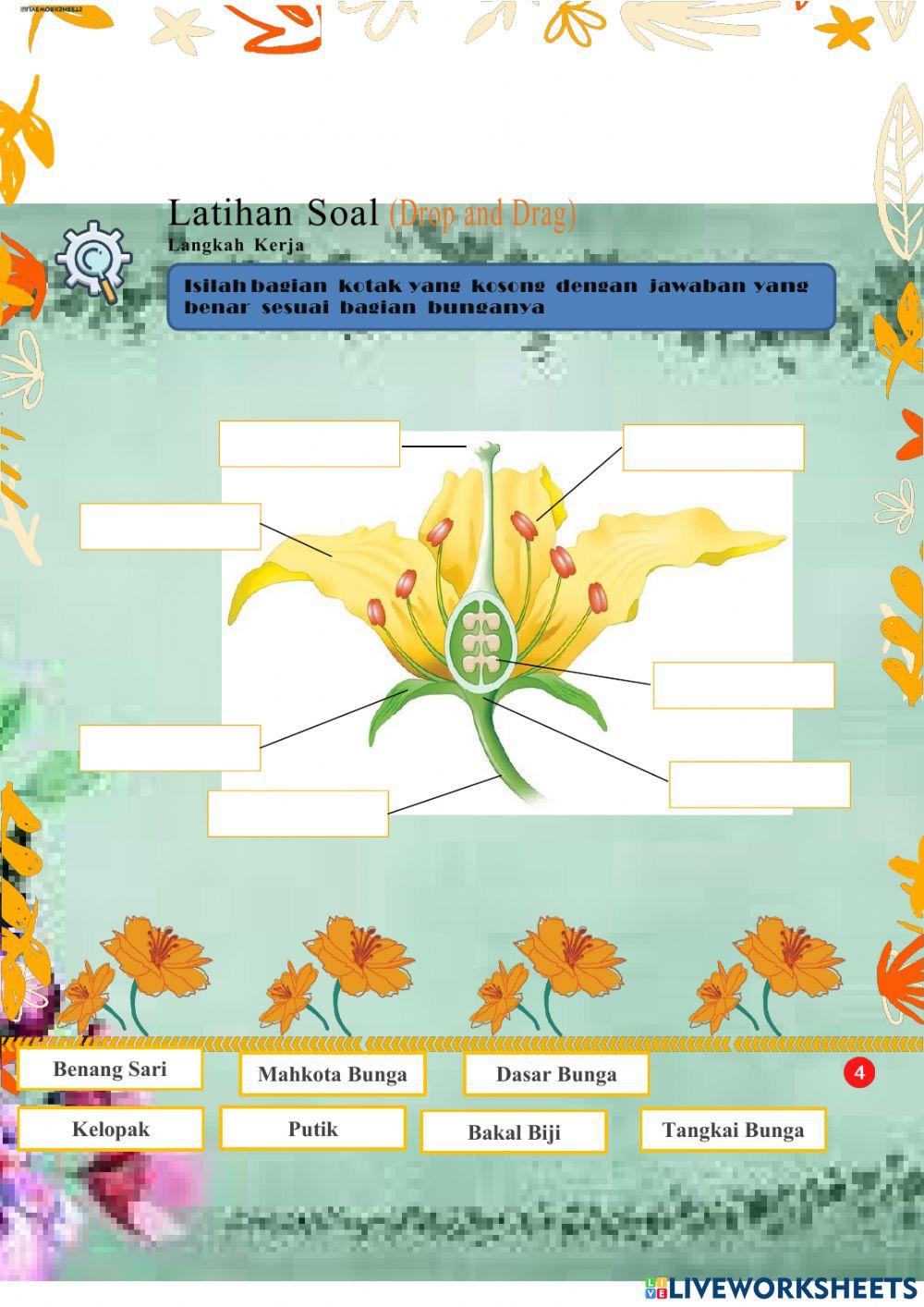 LKPD Manfaat Tumbuhan