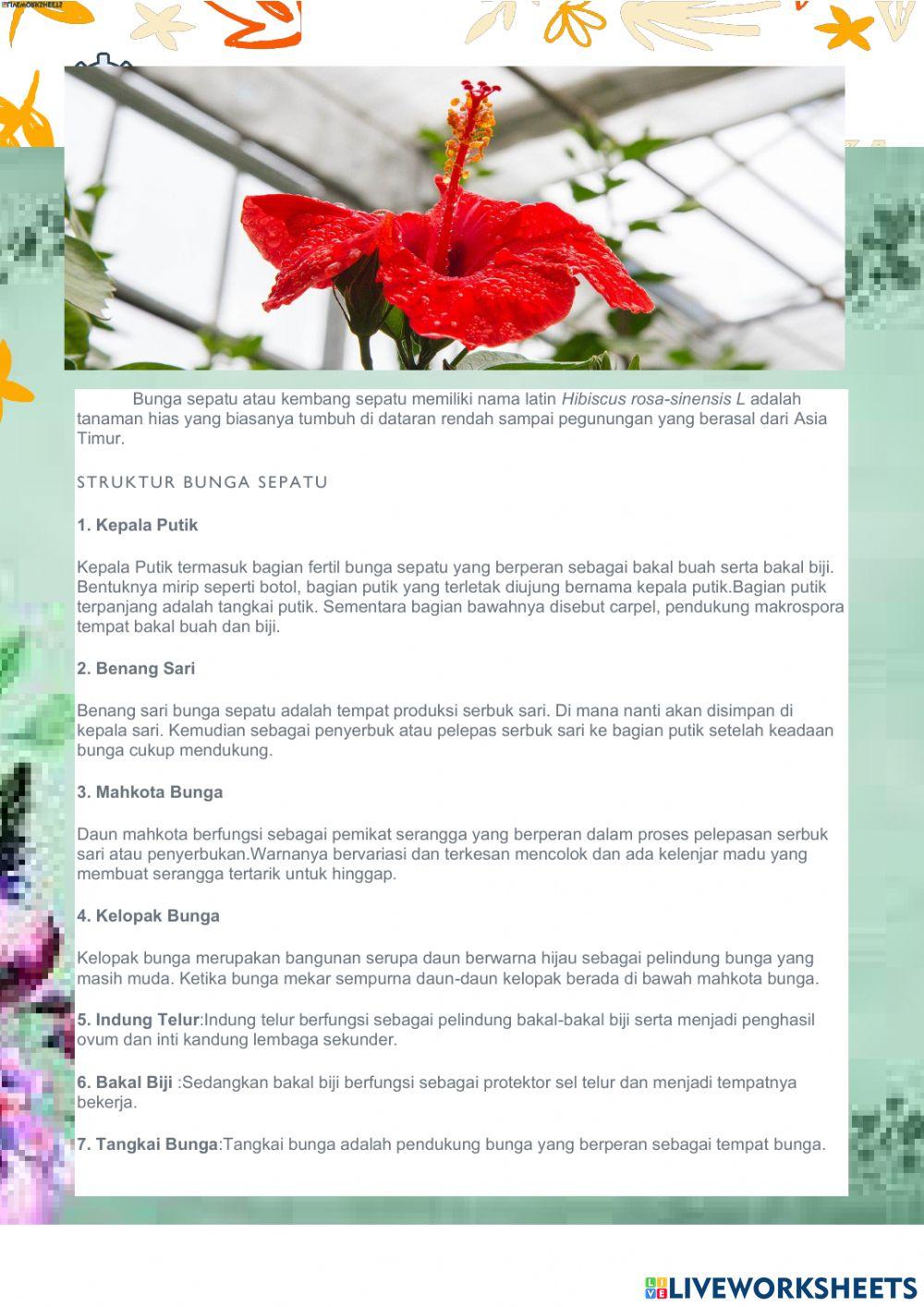 LKPD Manfaat Tumbuhan