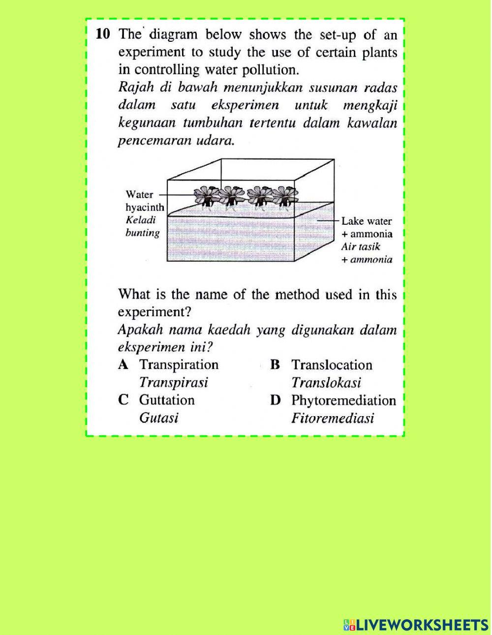 Pengangkutan dalam tumbuhan