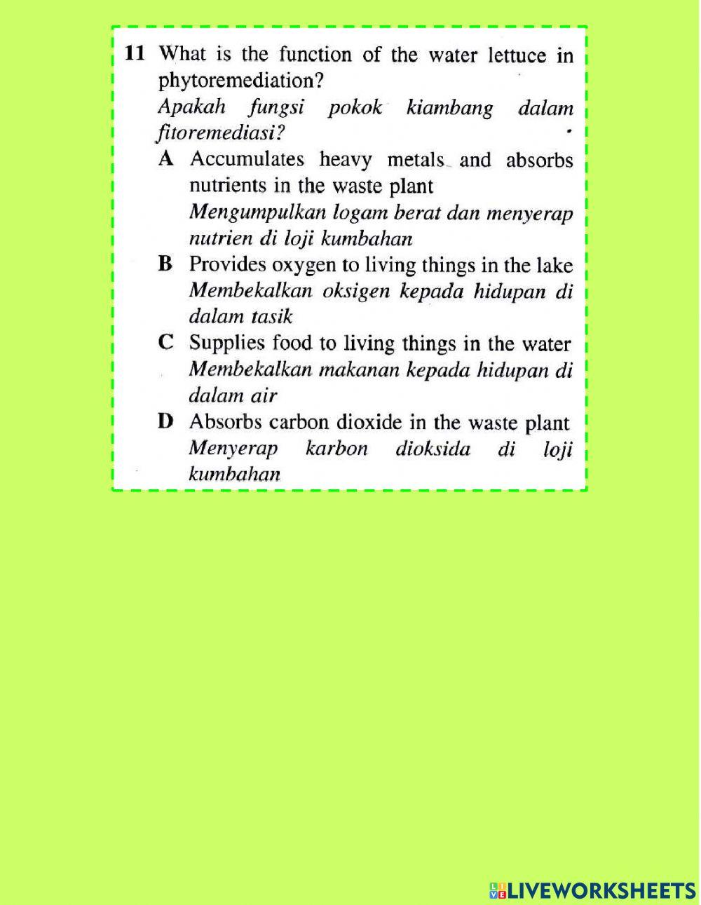 Pengangkutan dalam tumbuhan