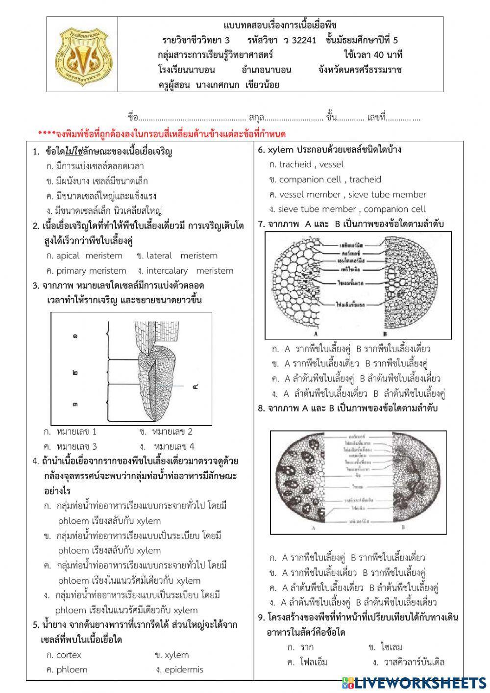 ข้อสอบเรื่องเนื้อเยื่อพืช
