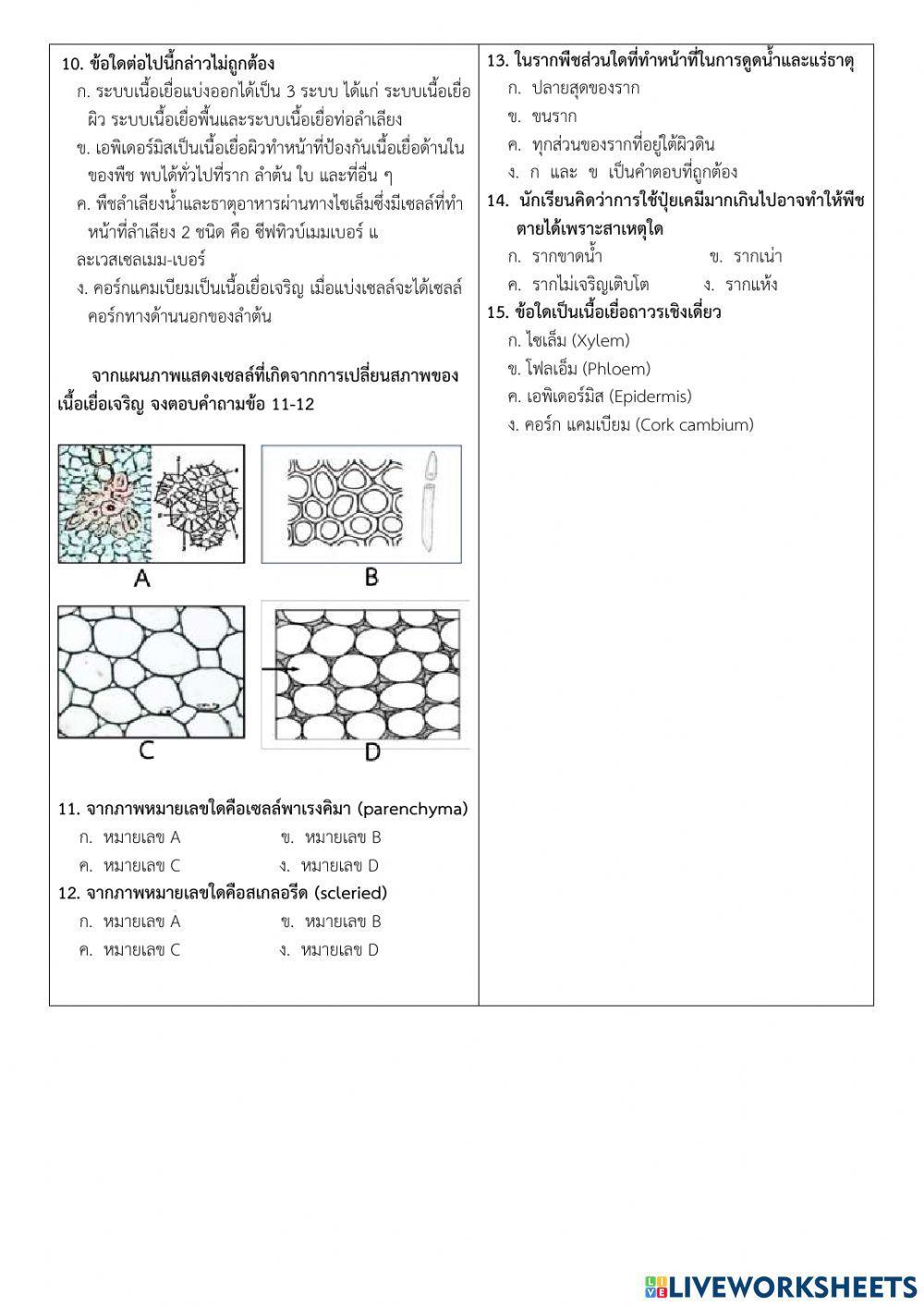 ข้อสอบเรื่องเนื้อเยื่อพืช